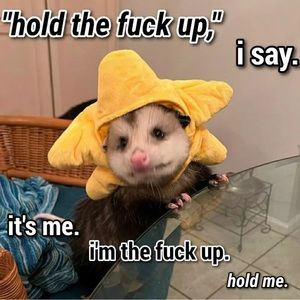 Meet your Posher, Eimy